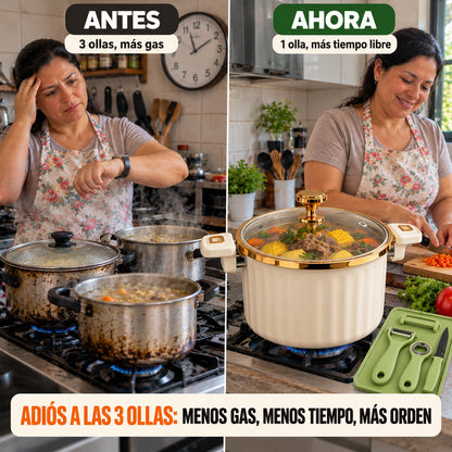 Olla Micropresión 10L