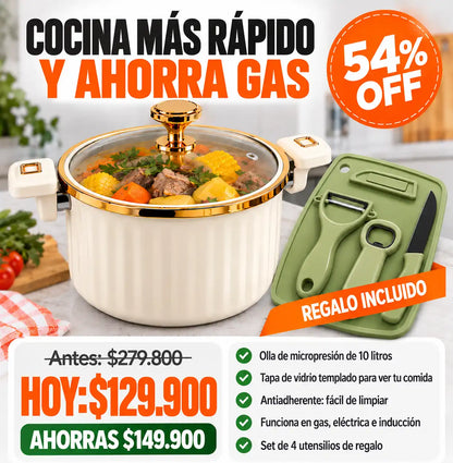 Olla Micropresión 10L