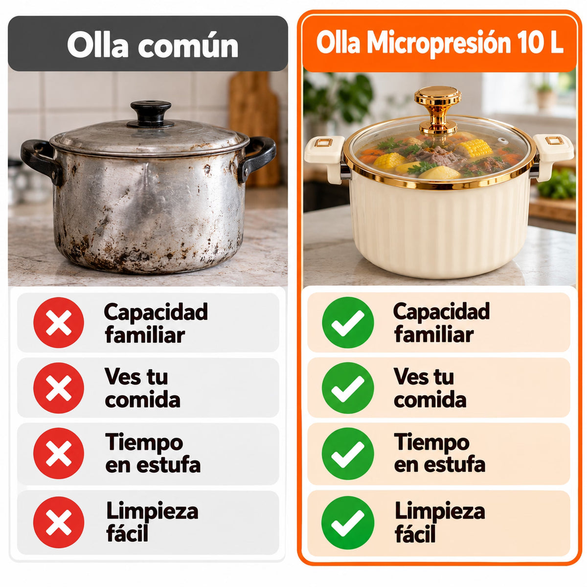 Olla Micropresión 10L