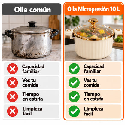 Olla Micropresión 10L