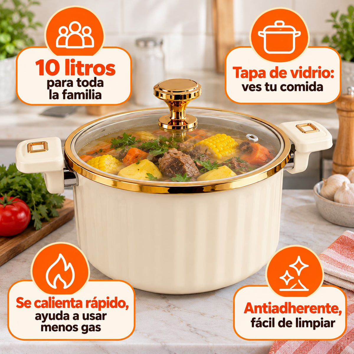Olla Micropresión 10L