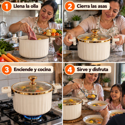 Olla Micropresión 10L